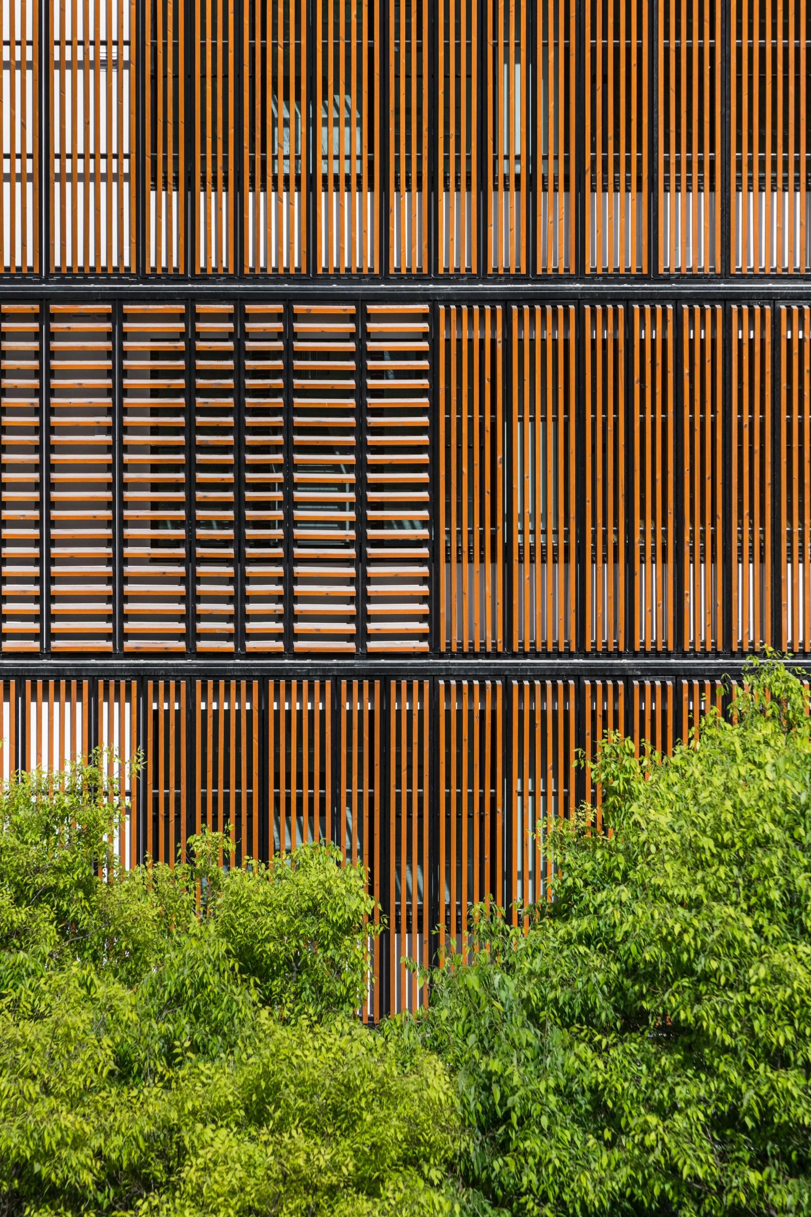 Lisbon Wood - image 4