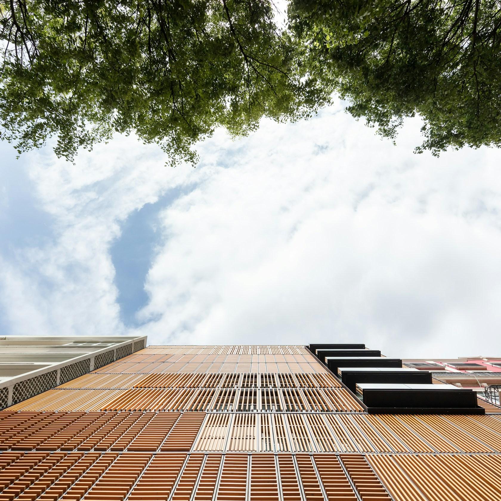 Lisbon Wood - image 6
