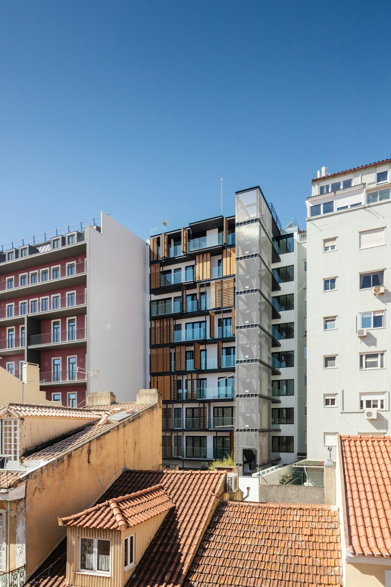 Lisbon Wood - image 9