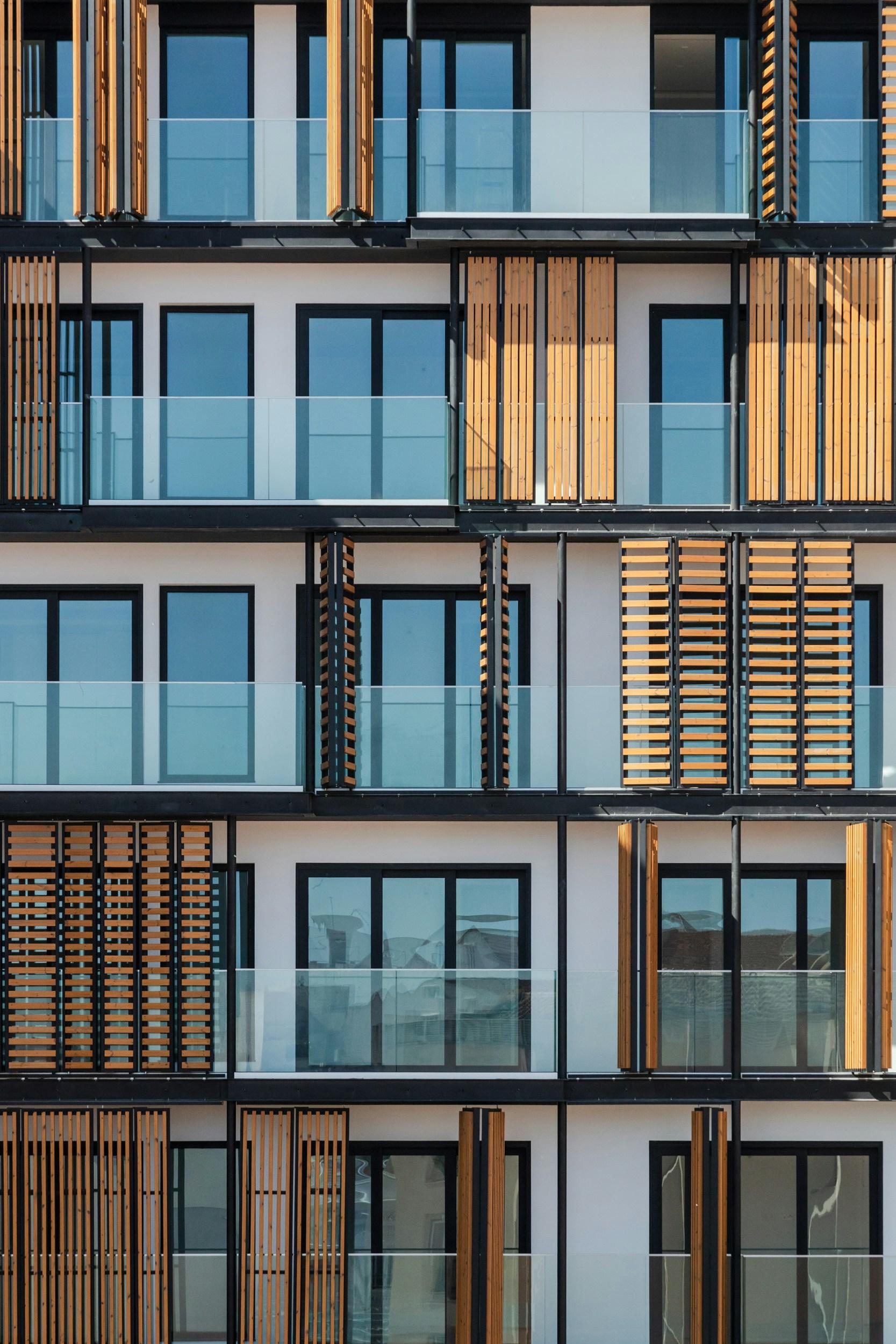 Lisbon Wood - image 8