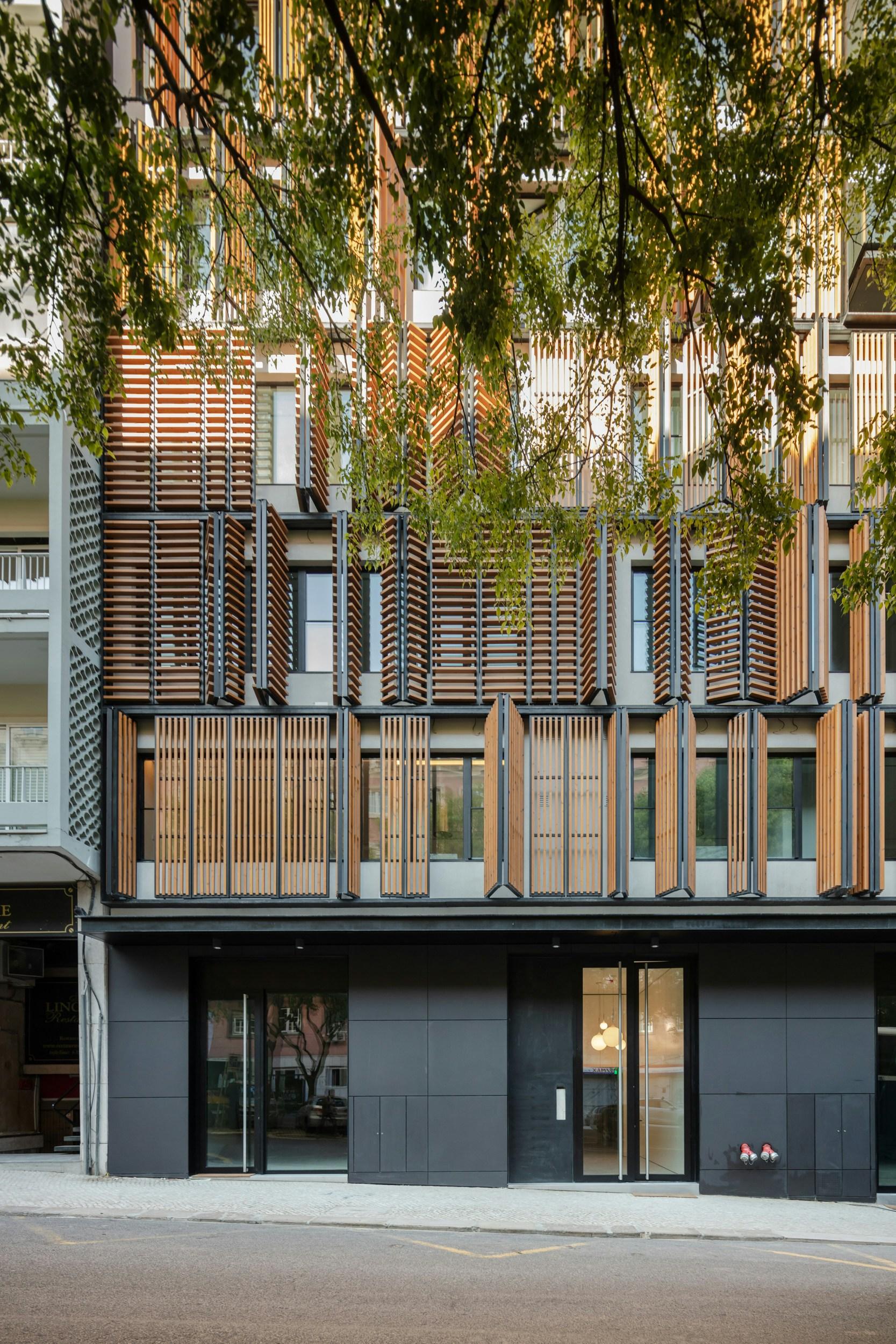 Lisbon Wood - image 10