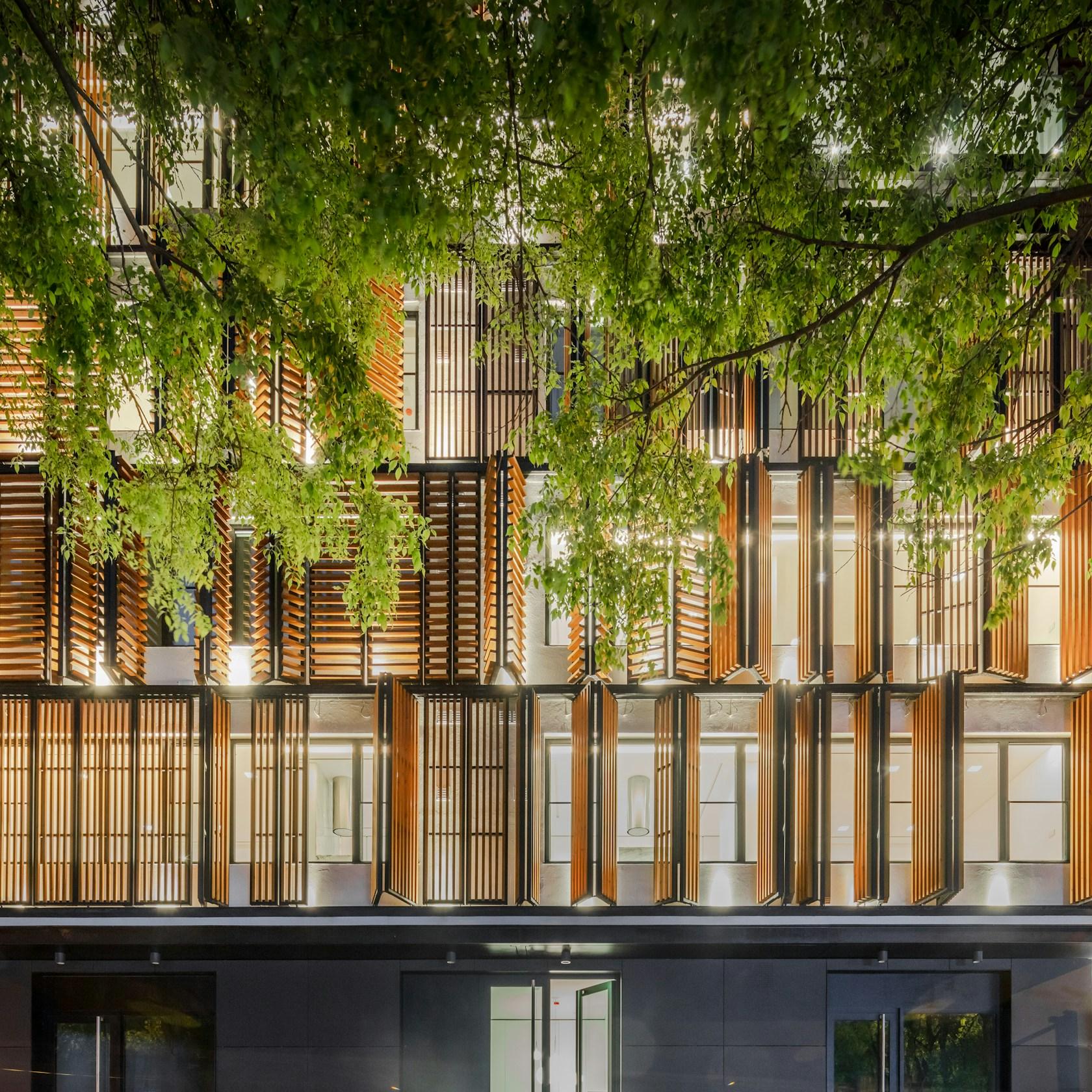 Lisbon Wood - image 18
