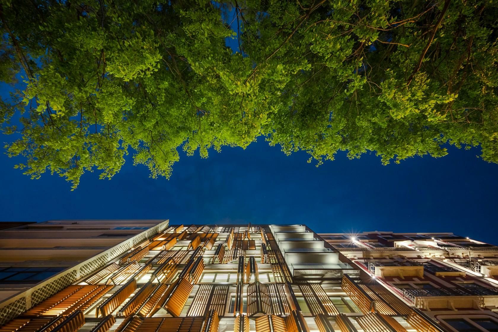 Lisbon Wood - image 19