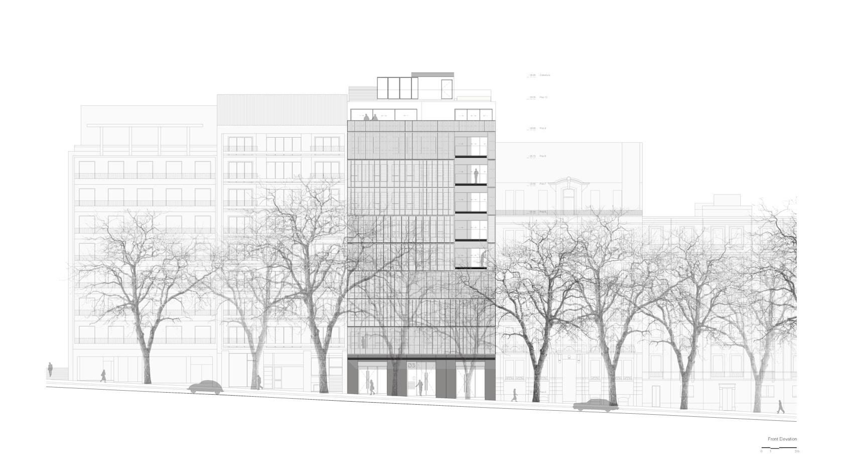 Lisbon Wood - image 20