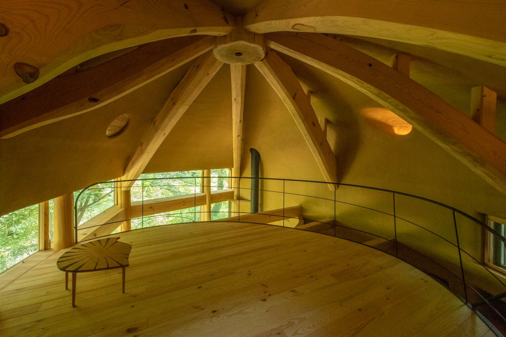 Shell House / The language of forest - image 2