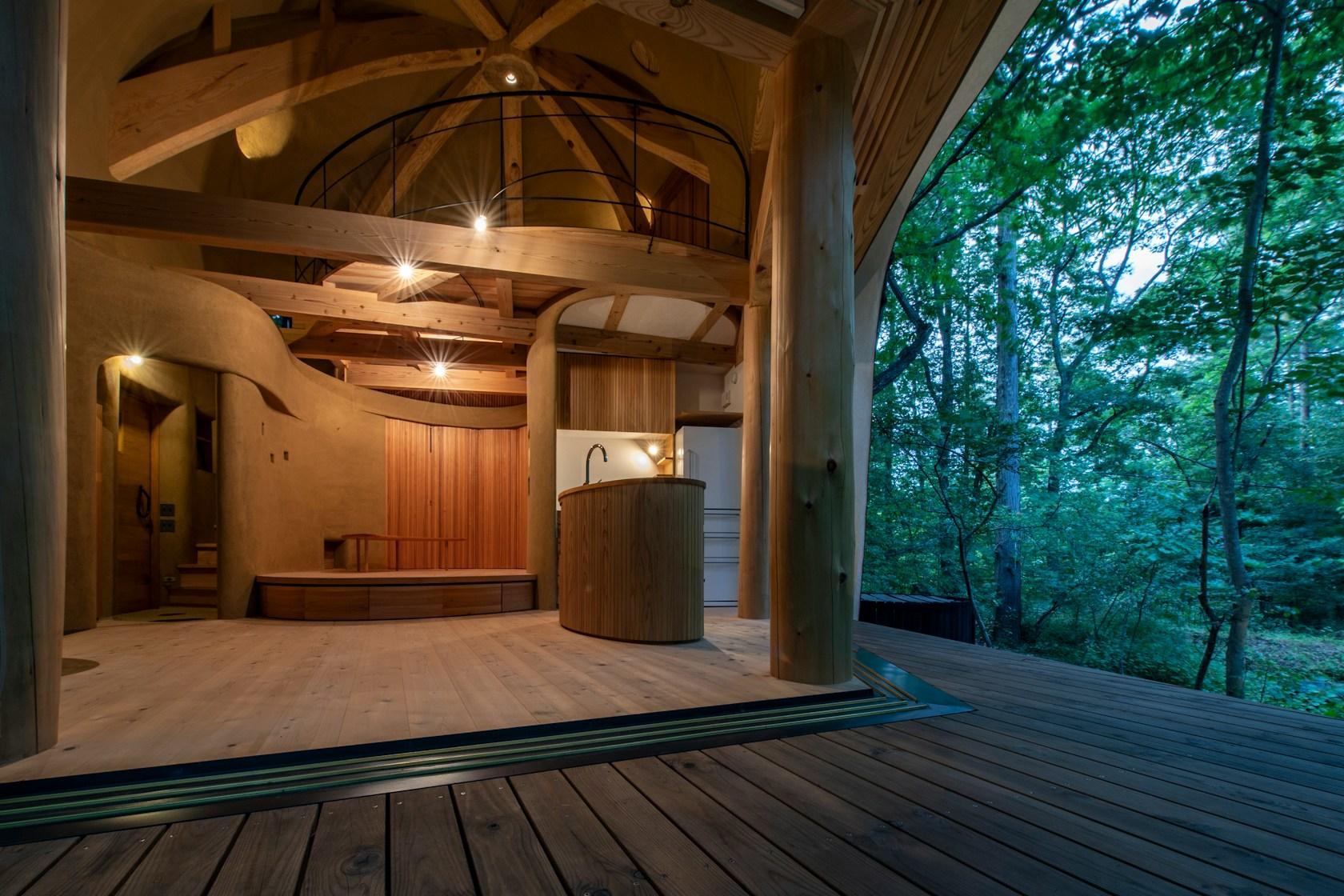 Shell House / The language of forest - image 3