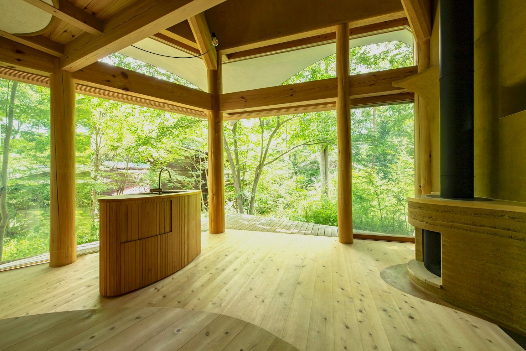 Shell House / The language of forest - image 7
