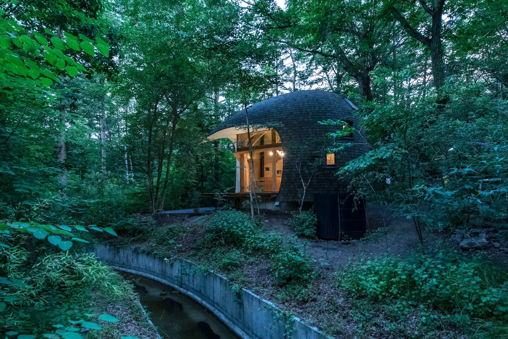 Shell House / The language of forest - image 4
