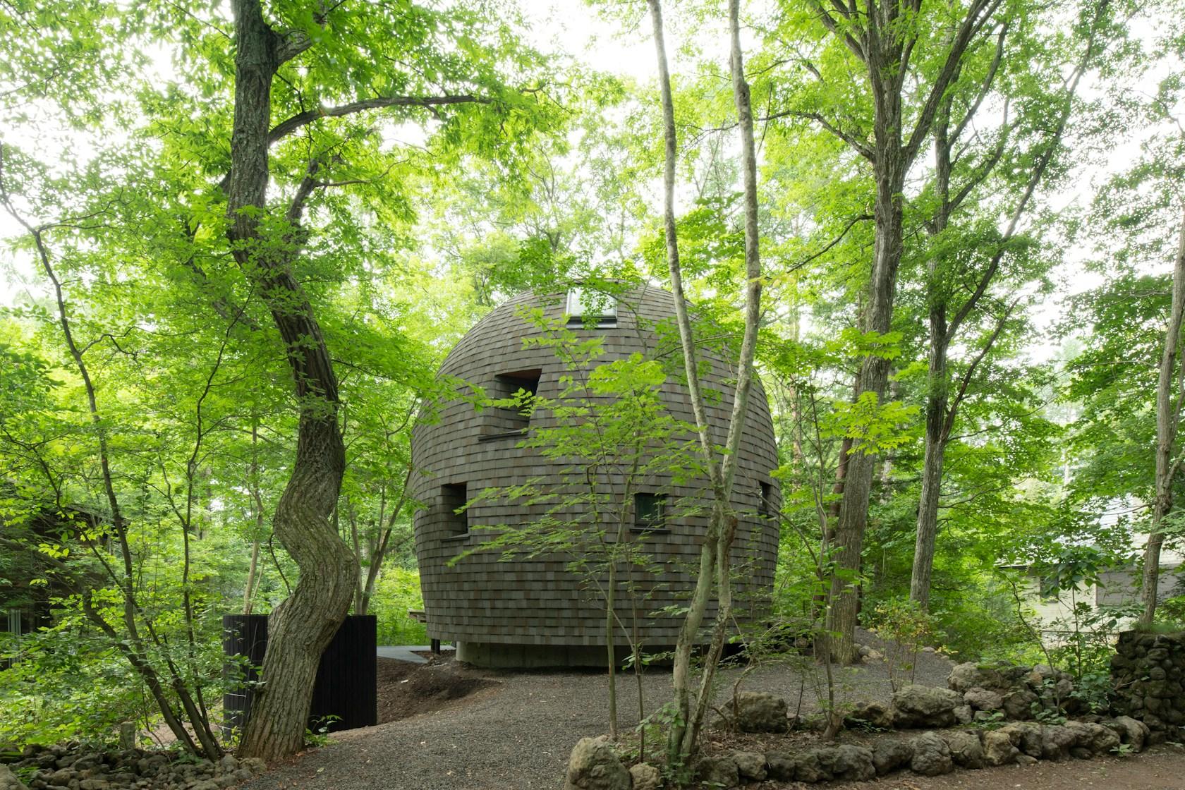 Shell House / The language of forest - image 5