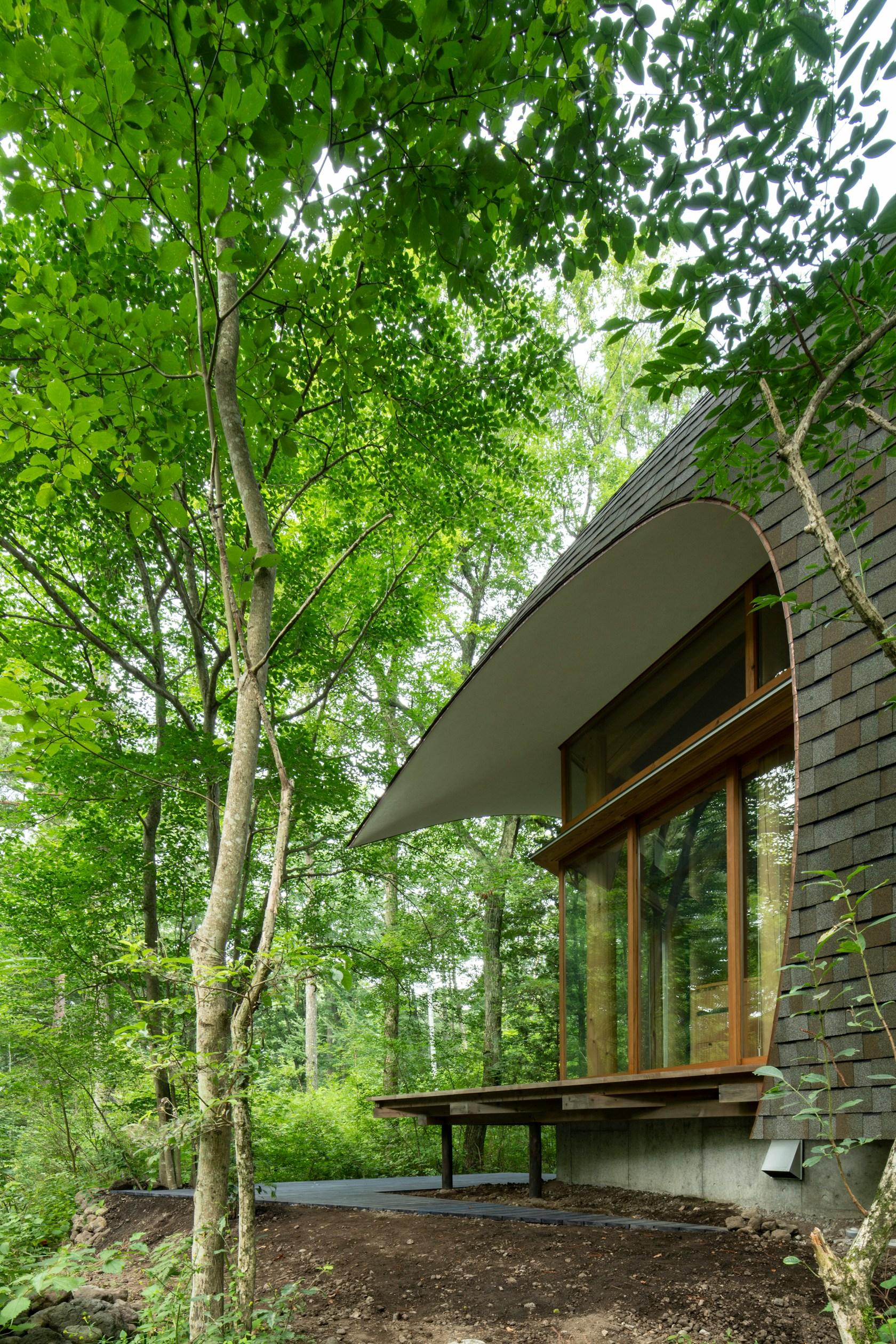 Shell House / The language of forest - image 6
