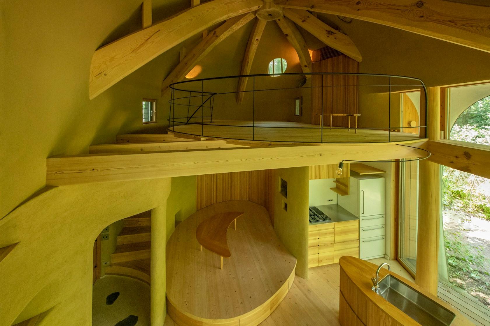 Shell House / The language of forest - image 11