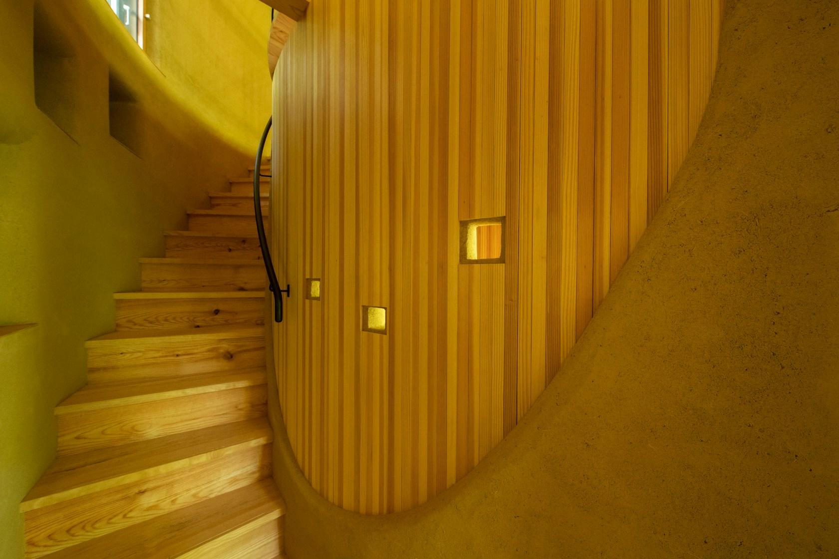 Shell House / The language of forest - image 14