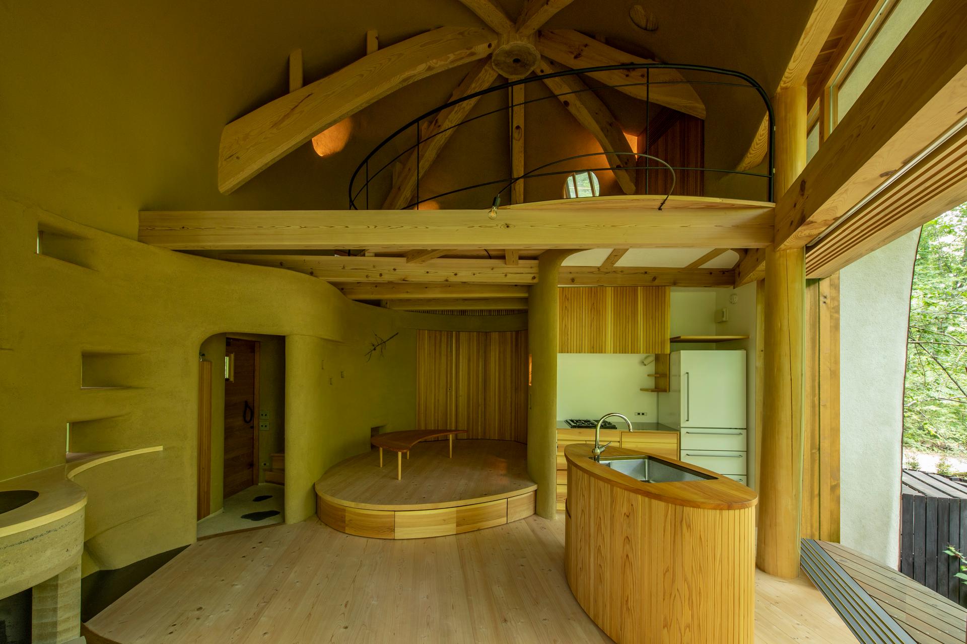 Shell House / The language of forest - image 9