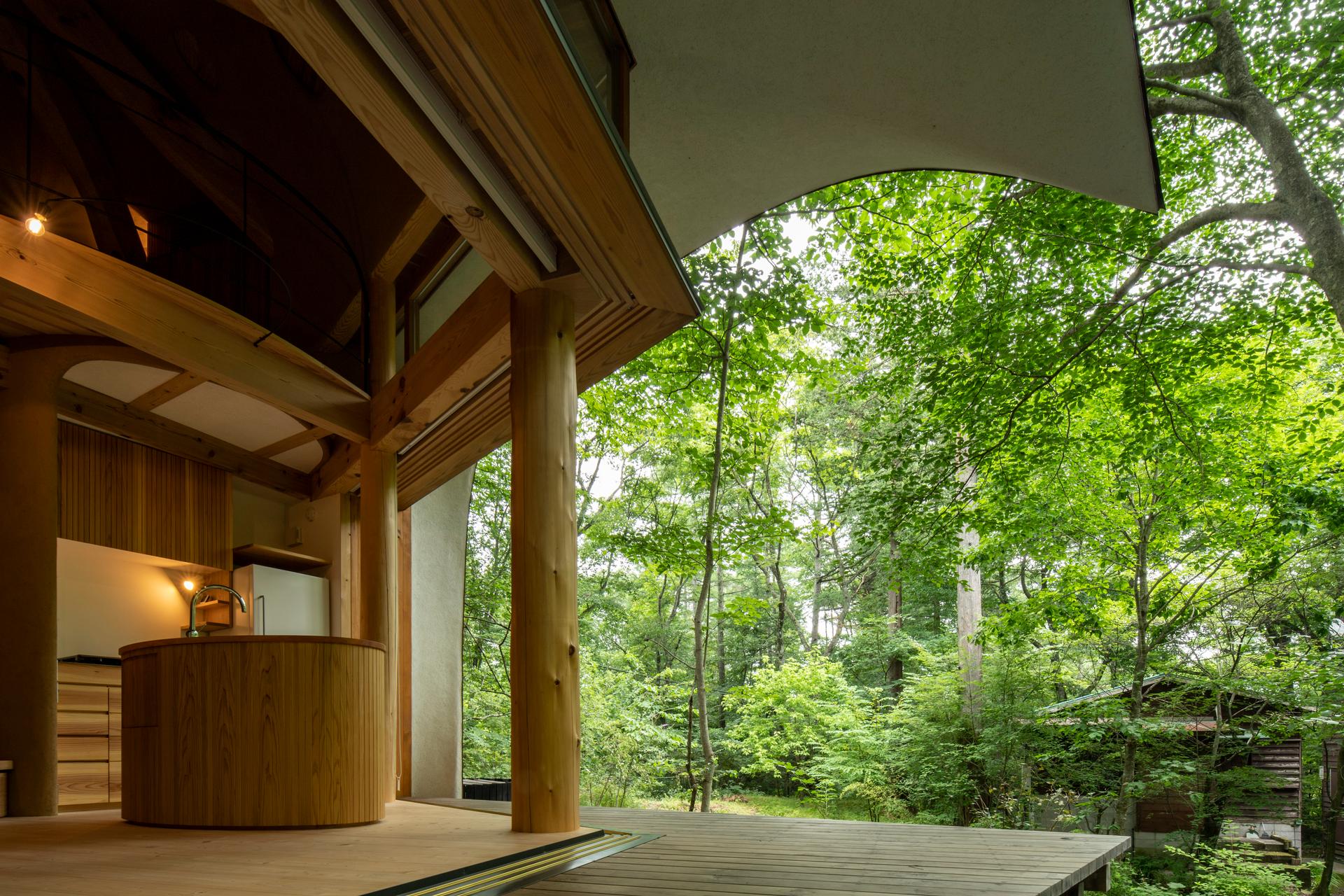Shell House / The language of forest - image 10