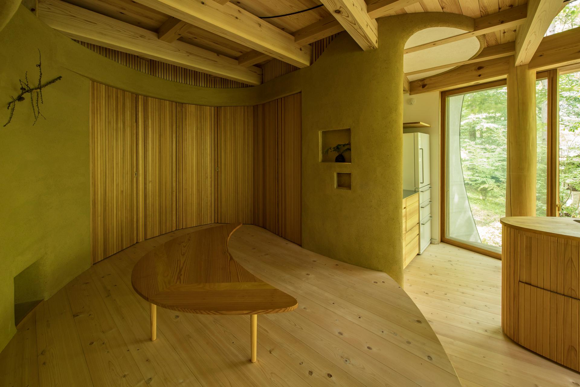 Shell House / The language of forest - image 13
