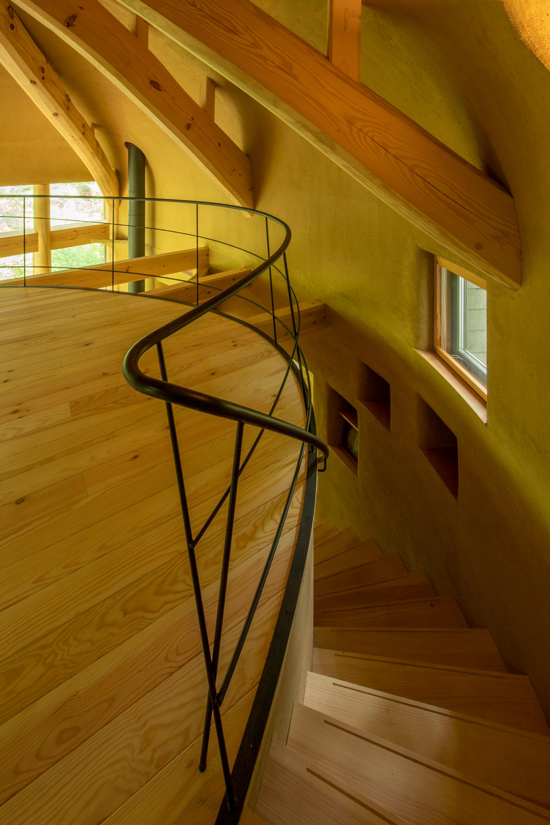 Shell House / The language of forest - image 16
