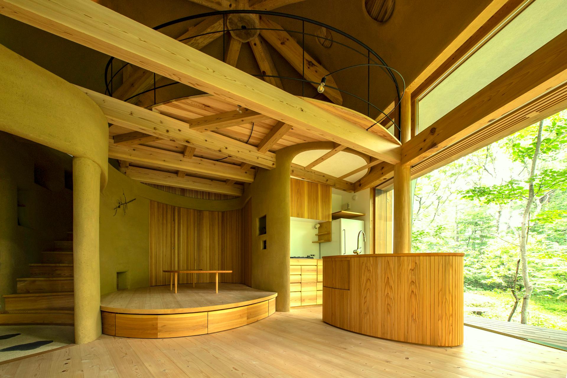 Shell House / The language of forest - image 18