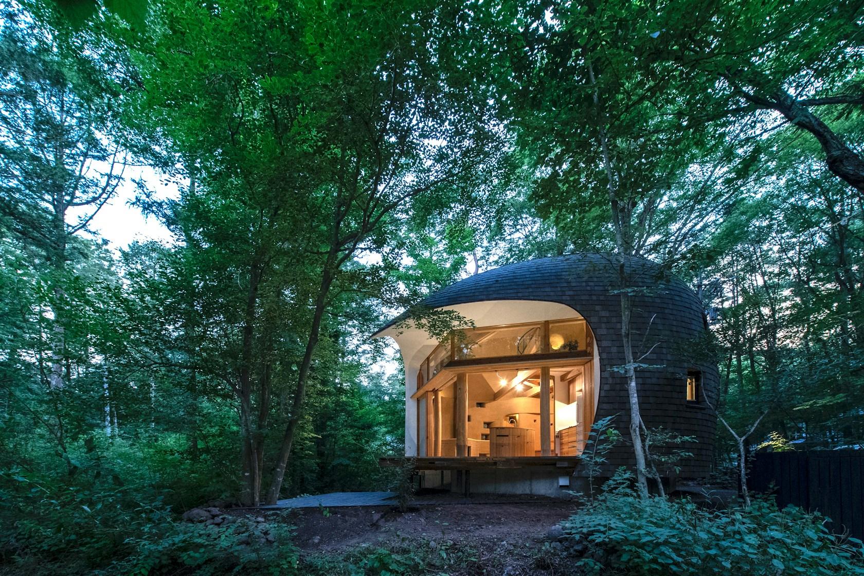 Shell House / The language of forest