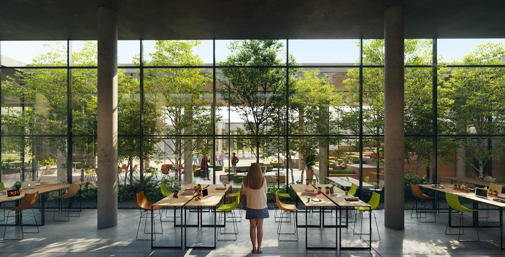 Middle East Technical University Coworking & Cafeteria - image 7