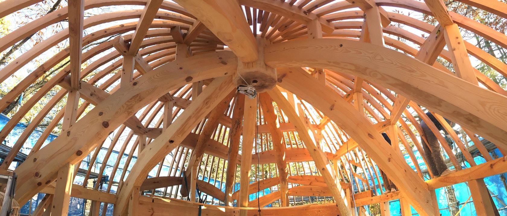 Shell House / The language of forest - image 22