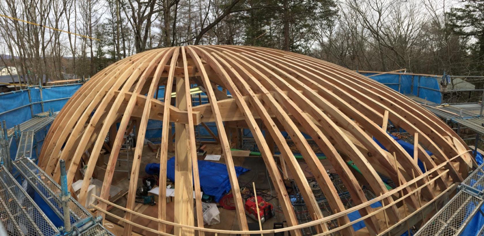 Shell House / The language of forest - image 23