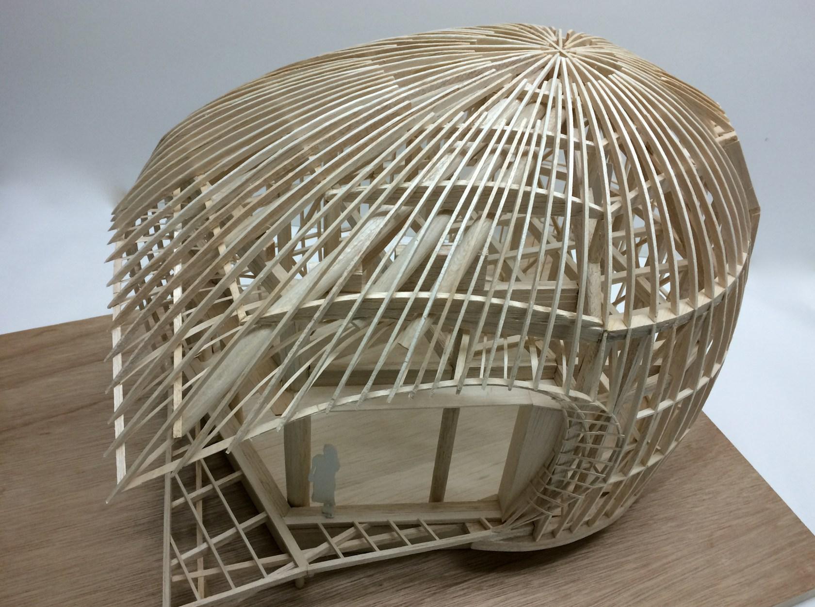 Shell House / The language of forest - image 24