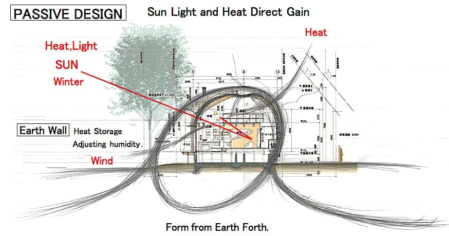 Shell House / The language of forest - image 28