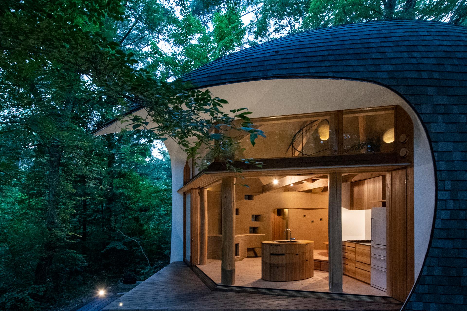 Shell House / The language of forest - image 29