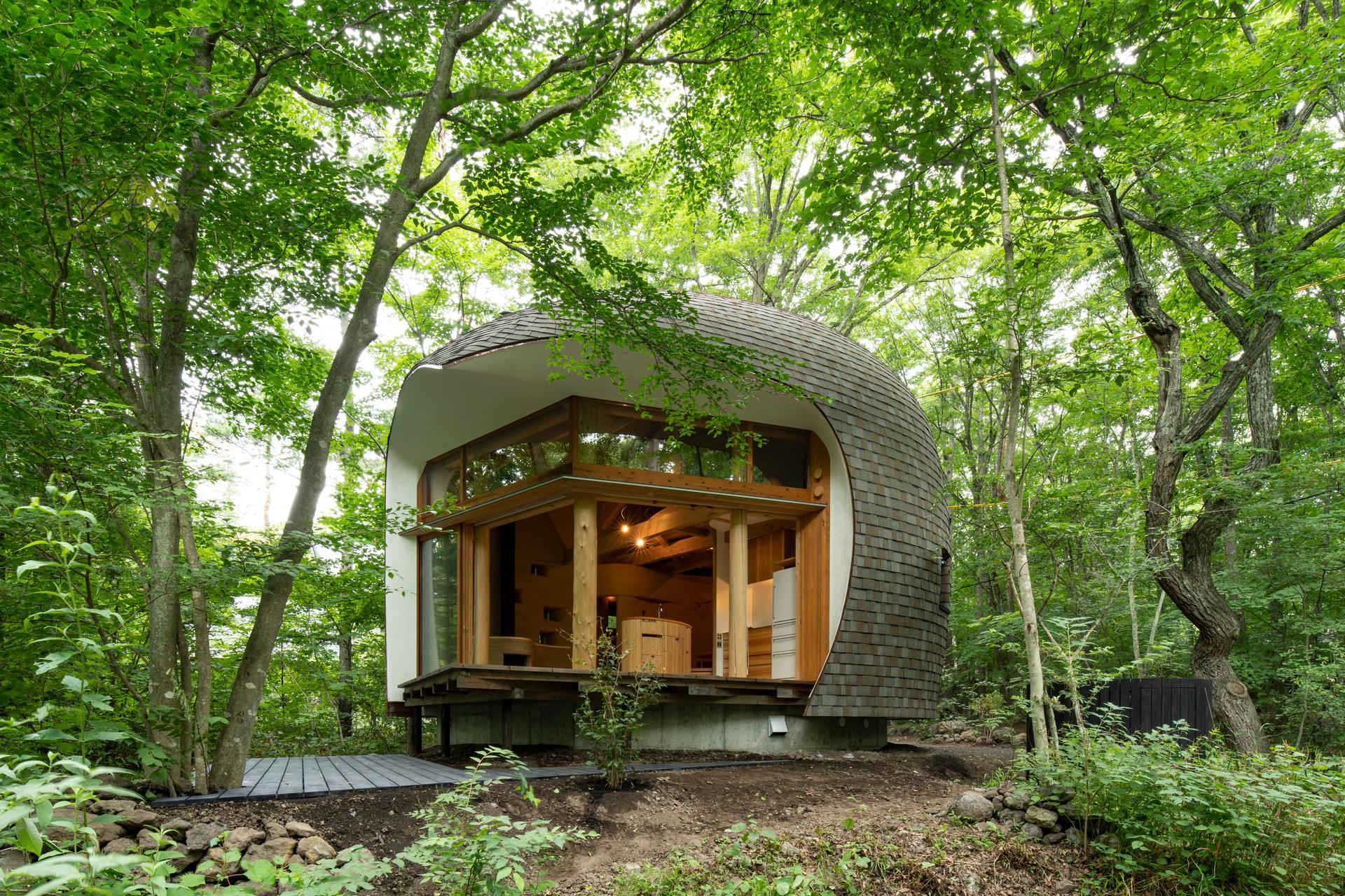 Shell House / The language of forest - image 30