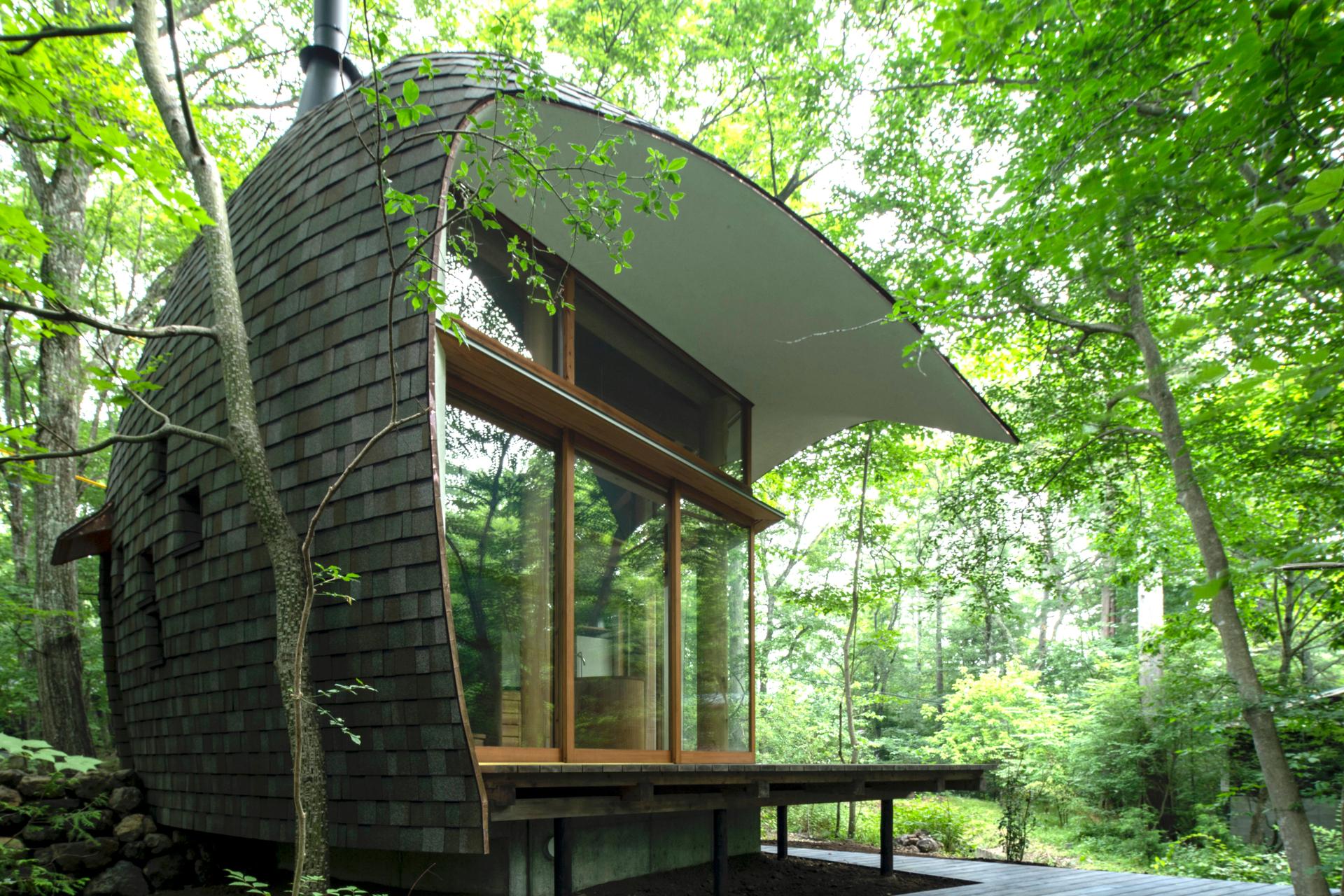 Shell House / The language of forest - image 31