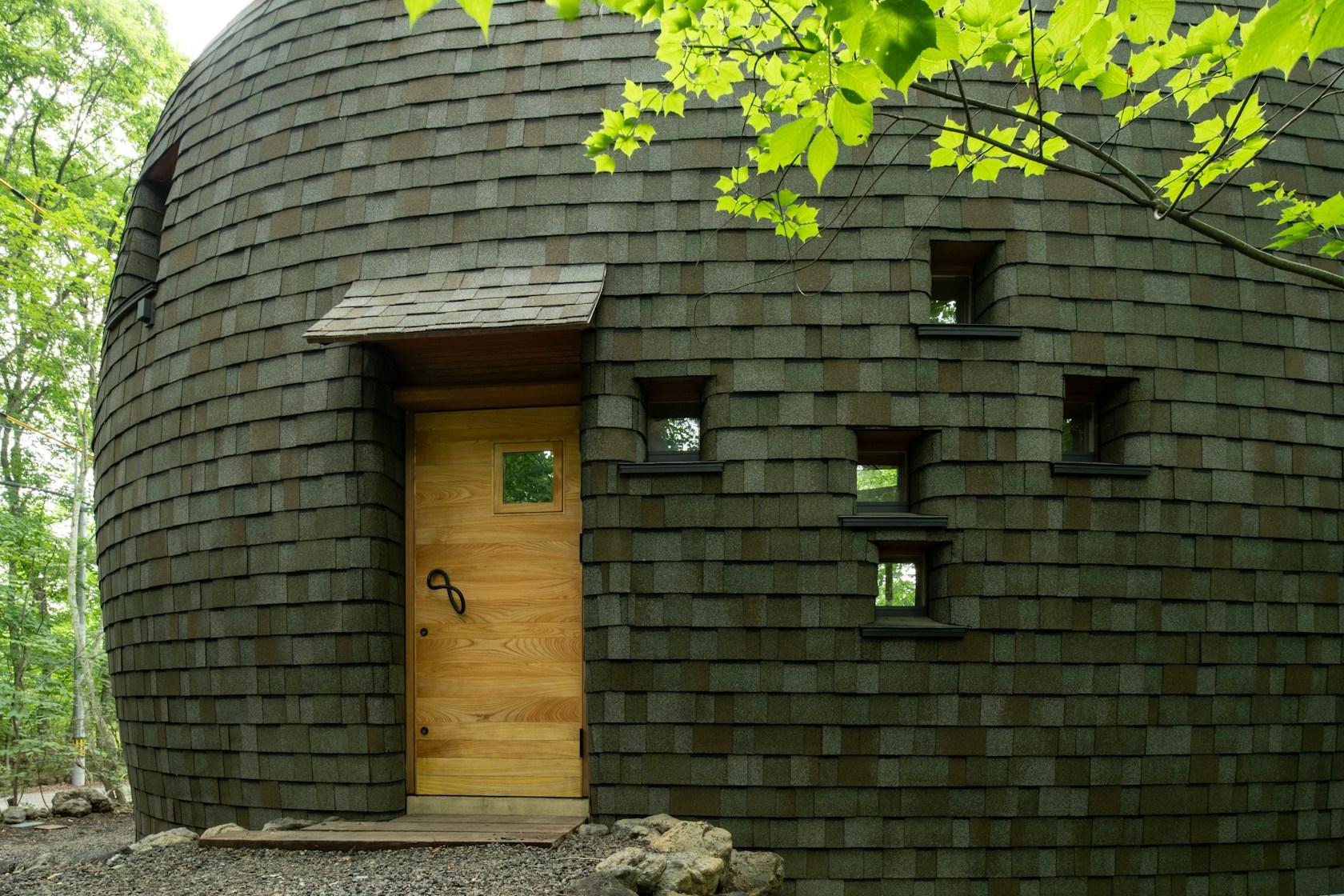 Shell House / The language of forest - image 32