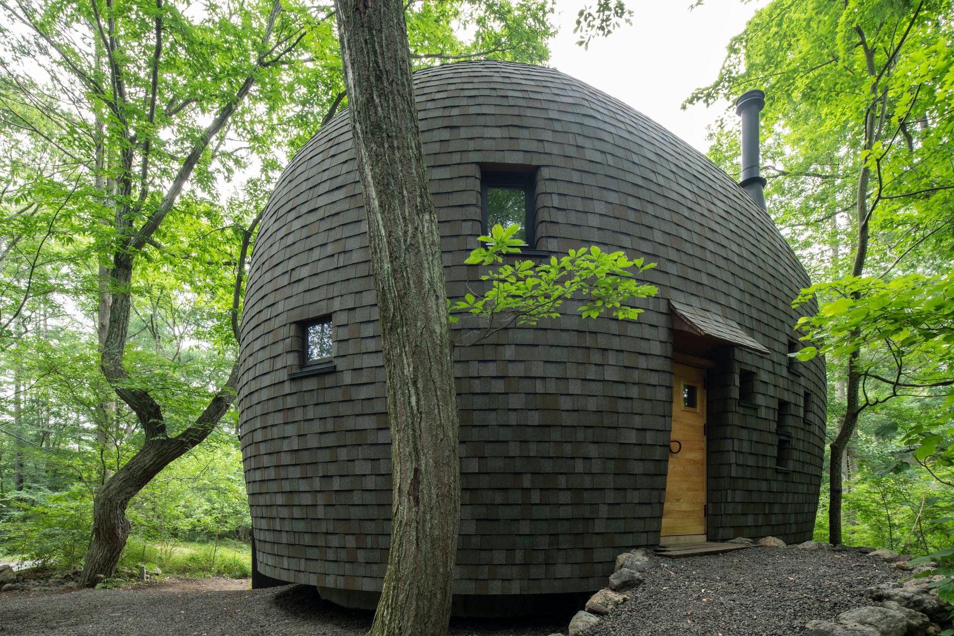 Shell House / The language of forest - image 33