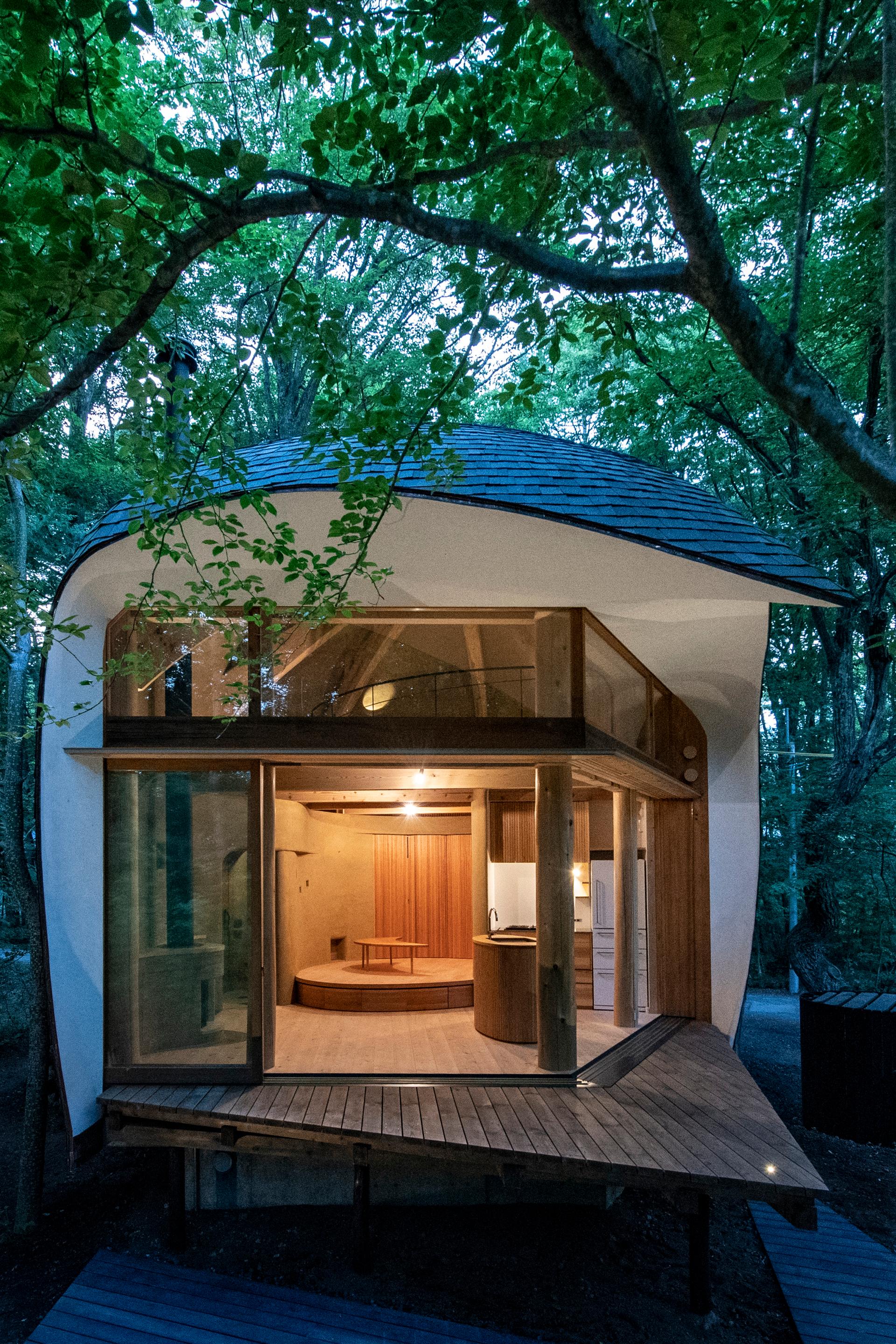 Shell House / The language of forest - image 34