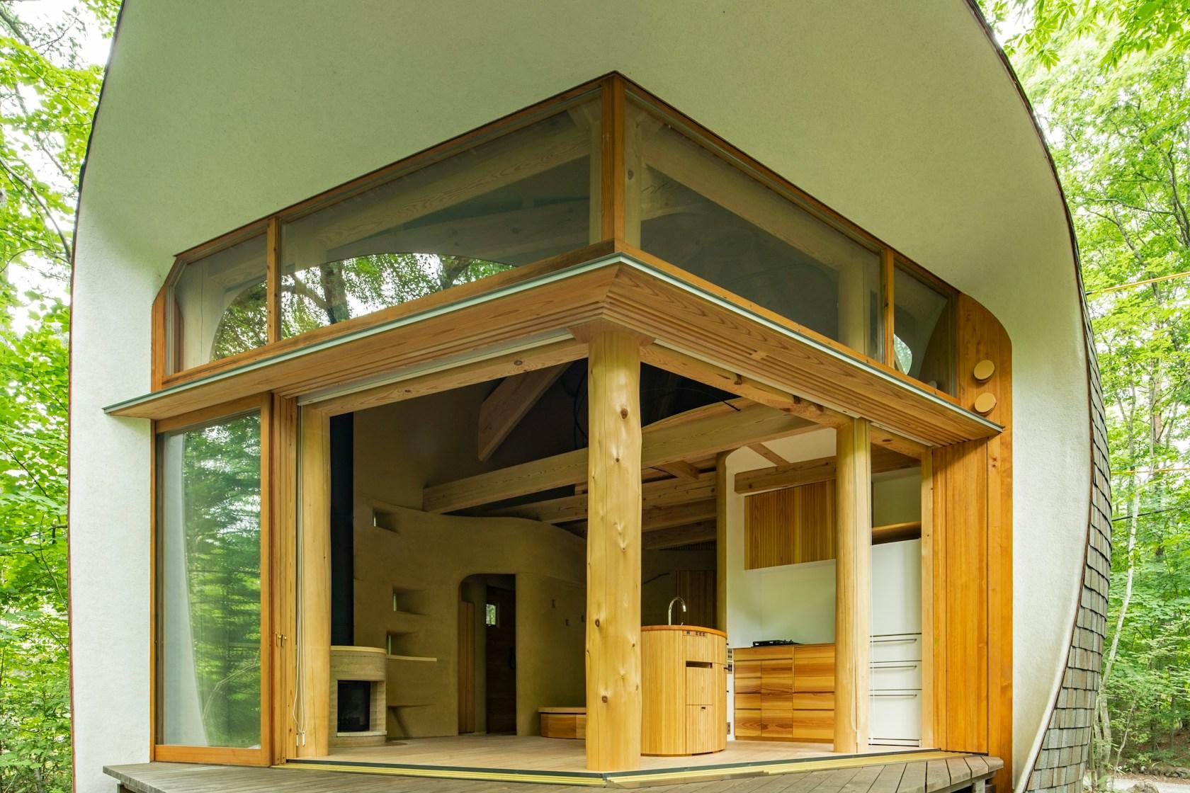 Shell House / The language of forest - image 35