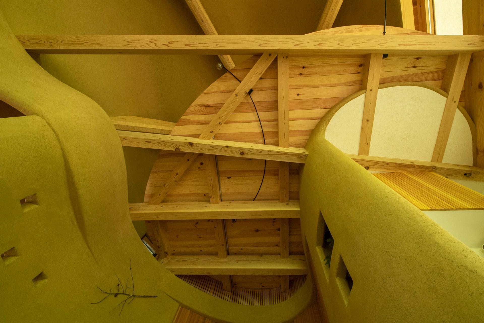 Shell House / The language of forest - image 38