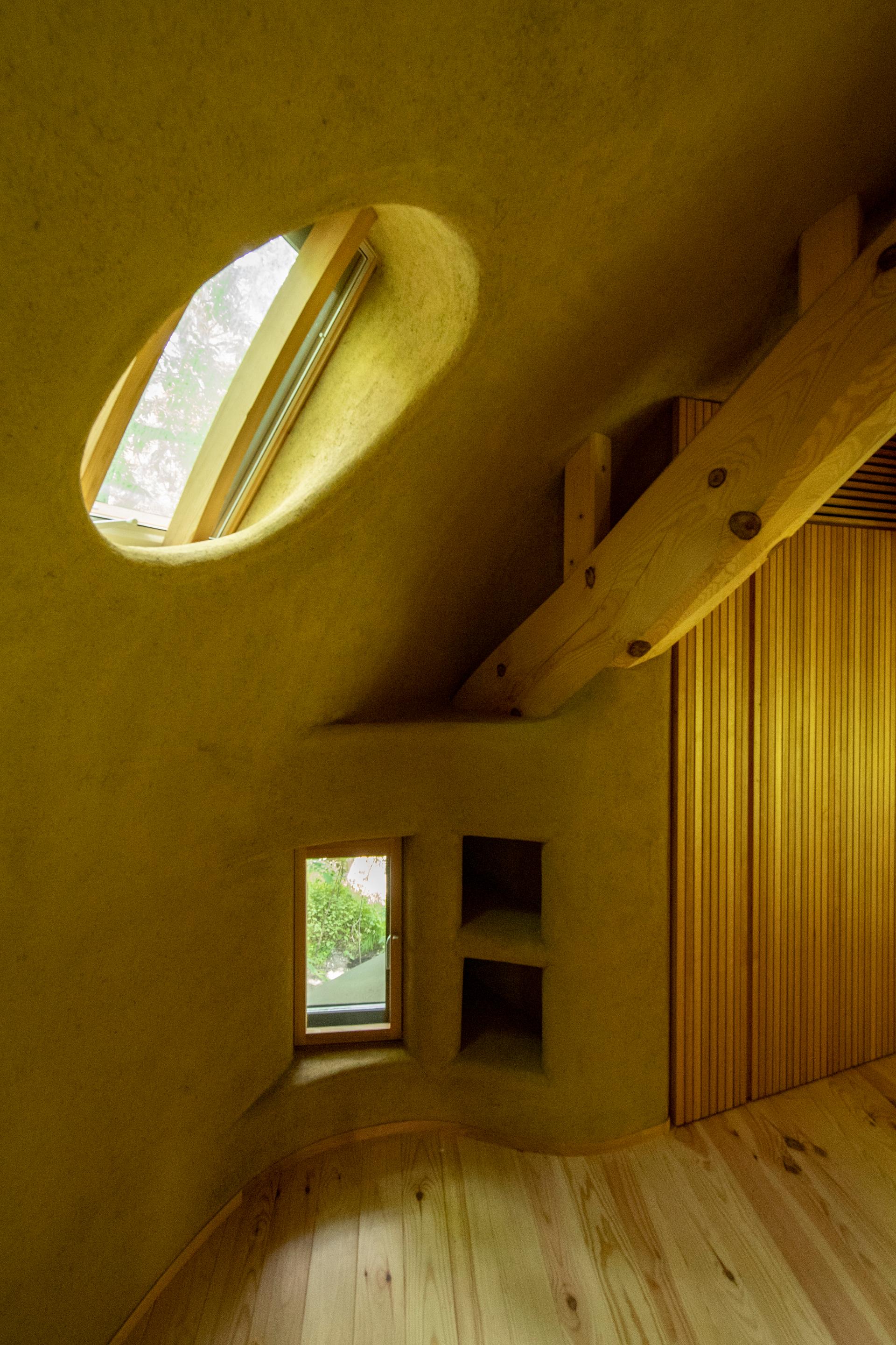 Shell House / The language of forest - image 41