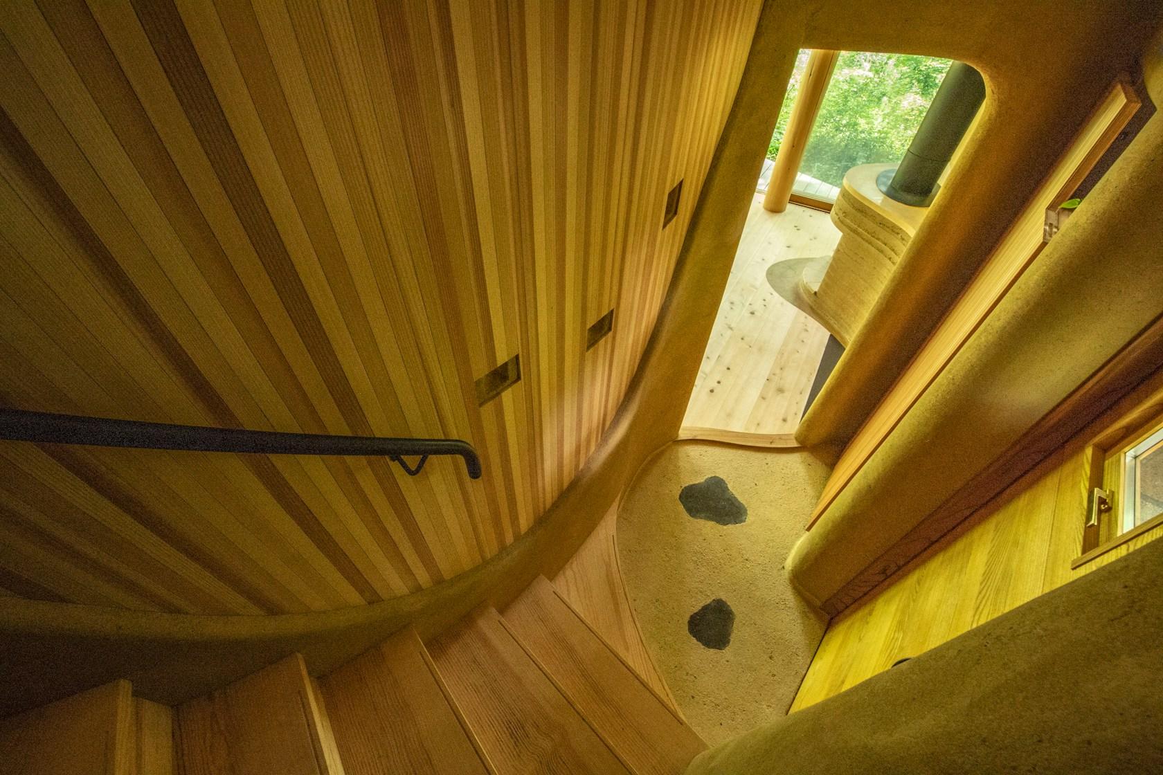Shell House / The language of forest - image 42