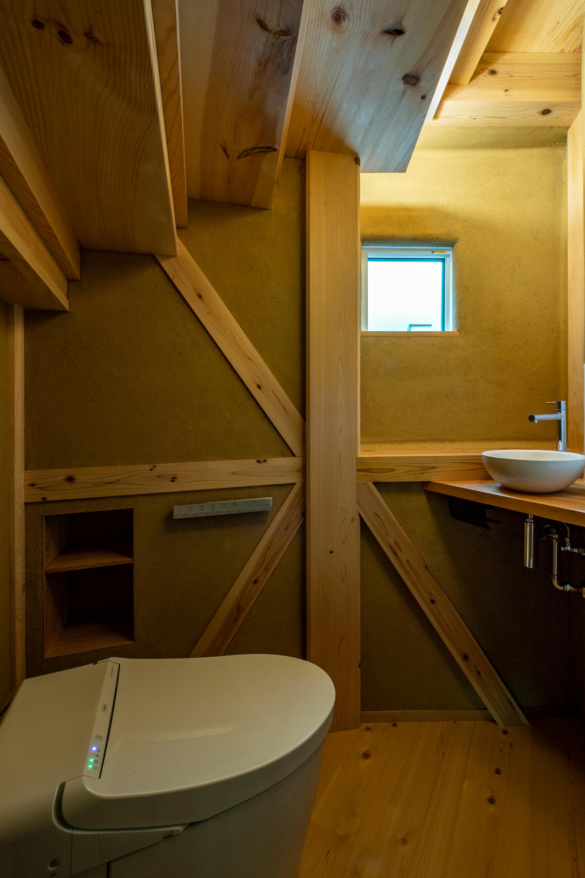 Shell House / The language of forest - image 45