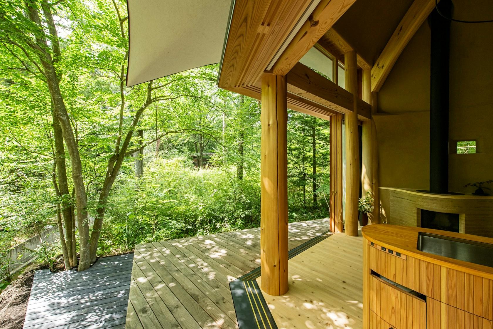 Shell House / The language of forest - image 43