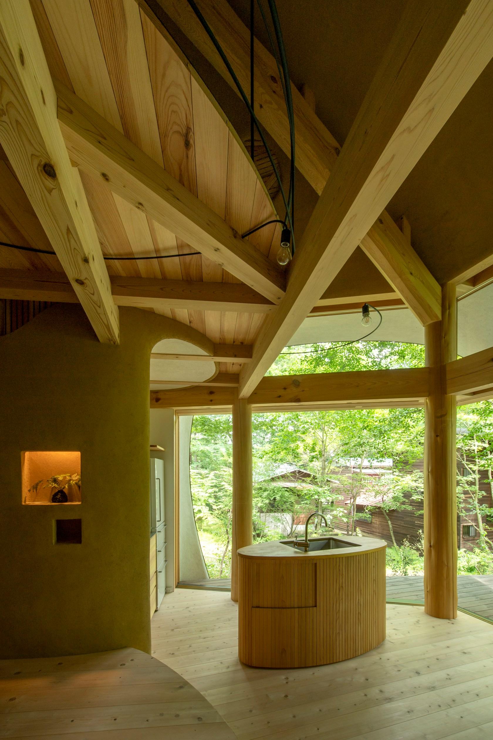 Shell House / The language of forest - image 44