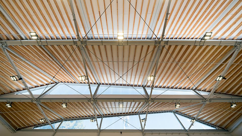 Ostin Basketball Center at UCLA - image 3