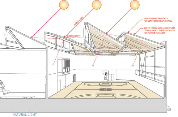 Ostin Basketball Center at UCLA - image 10