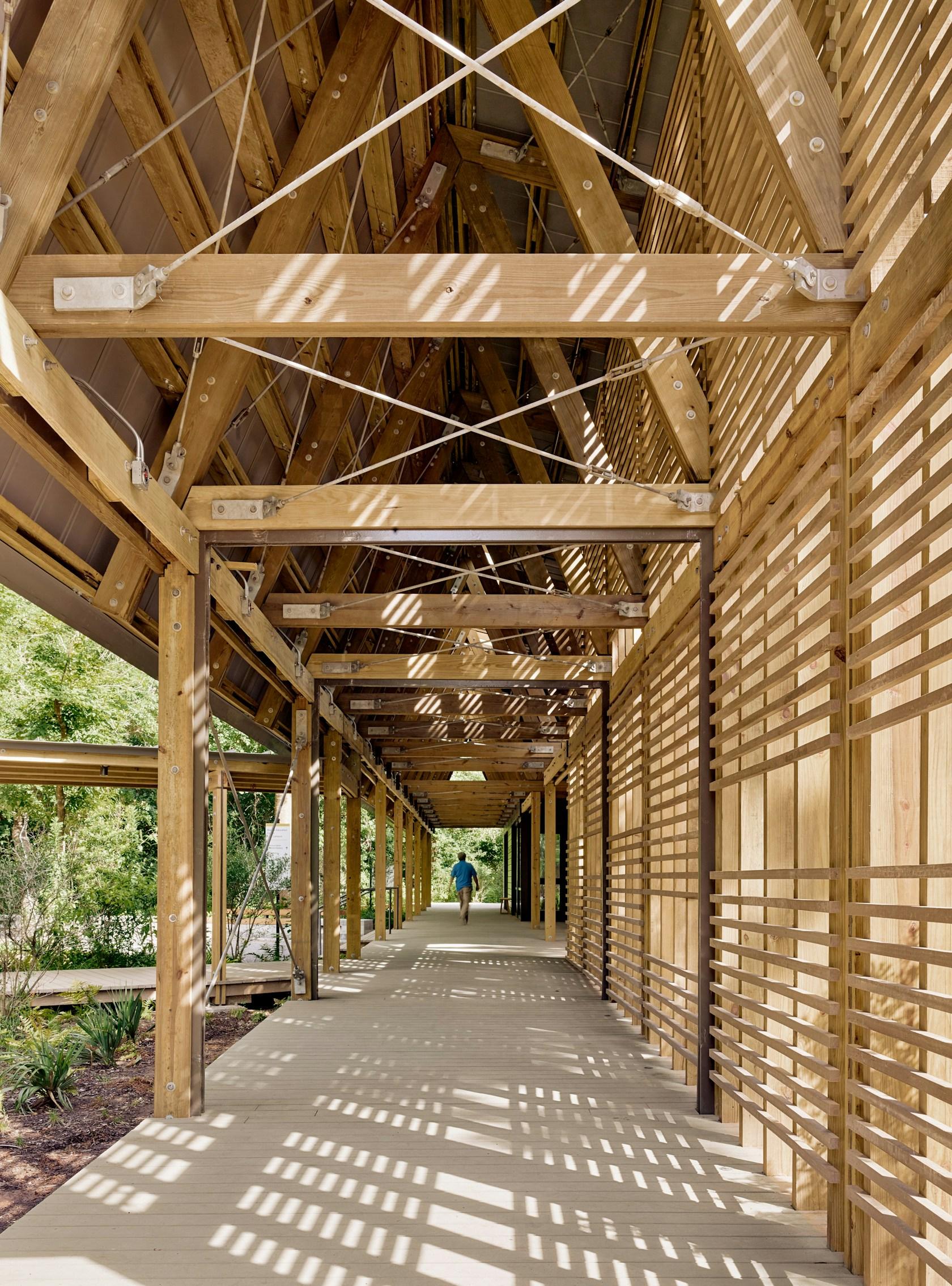 Marine Education Center at the Gulf Coast Research Laboratory - image 12