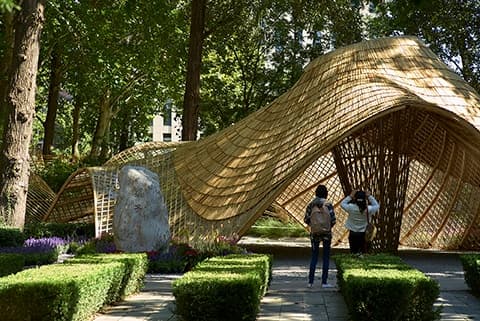 Swirling Cloud: Pavilion for BJFU Garden Festival - image 3