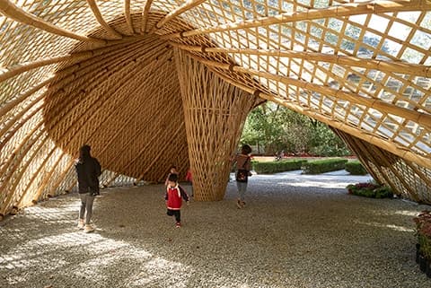 Swirling Cloud: Pavilion for BJFU Garden Festival - image 4