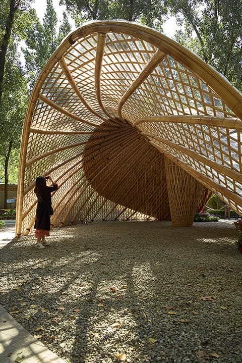Swirling Cloud: Pavilion for BJFU Garden Festival - image 6