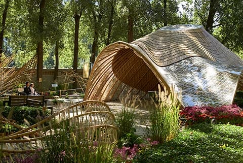 Swirling Cloud: Pavilion for BJFU Garden Festival - image 11