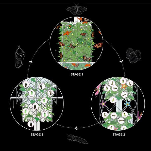 Monarch Sanctuary: Integrated Biodiversity in Double Skin Facade - image 8