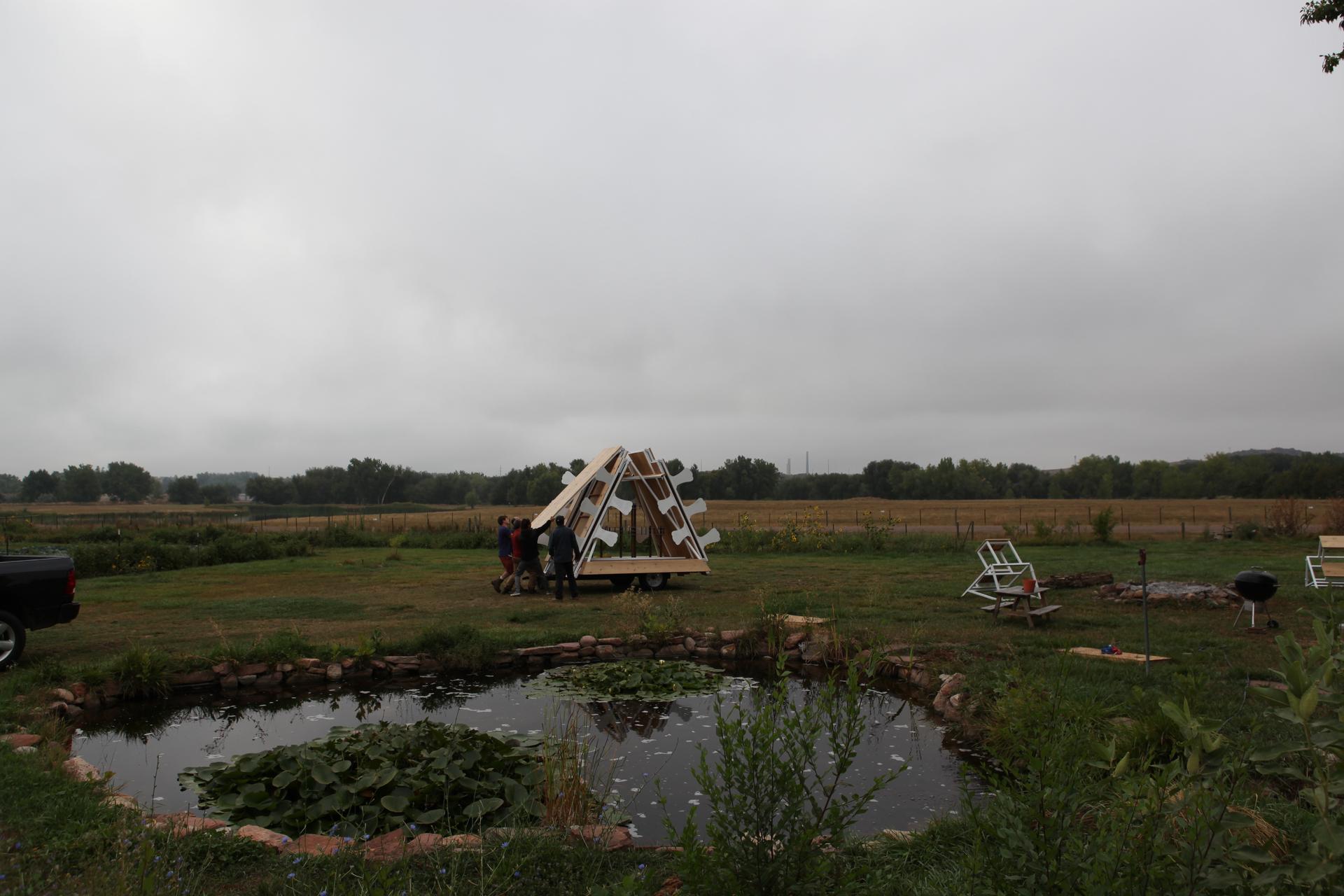 HARM TO TABLE - image 6