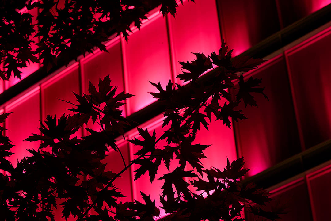 AMANDOLIER BUILDING, GENEVA RESPONSIVE LIGHT ART - image 14